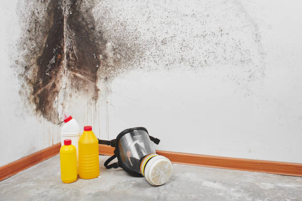 Best Toxic Mold Removal  in Mcpherson, KS