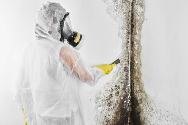 Best Water Damage Restoration  in Mcpherson, KS