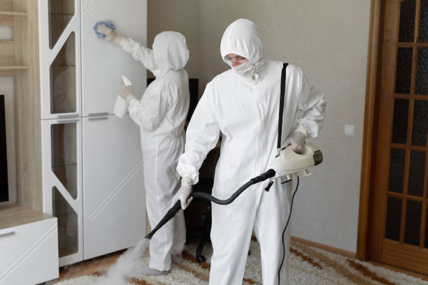 Best Residential Mold Removal  in Mcpherson, KS
