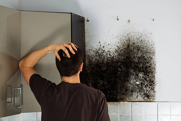 Best Home Mold Removal  in Mcpherson, KS