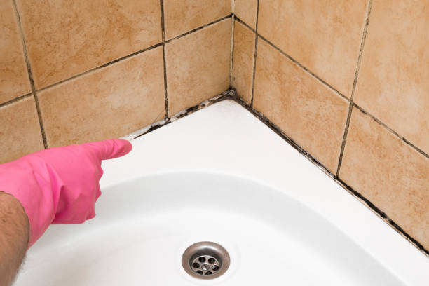 Trusted Mcpherson, KS Mold Removal Experts